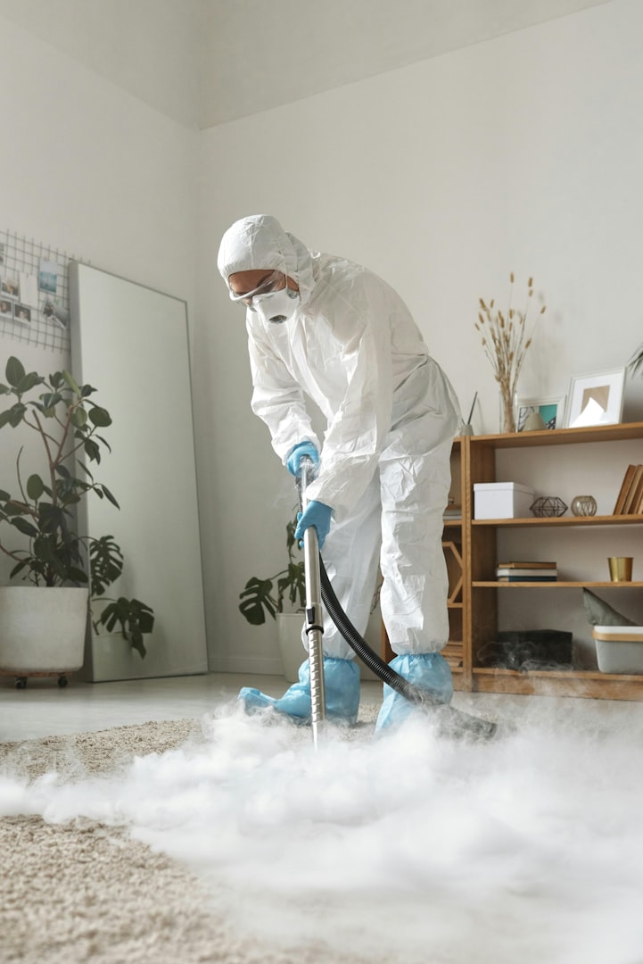 Window cleaning, House cleaning